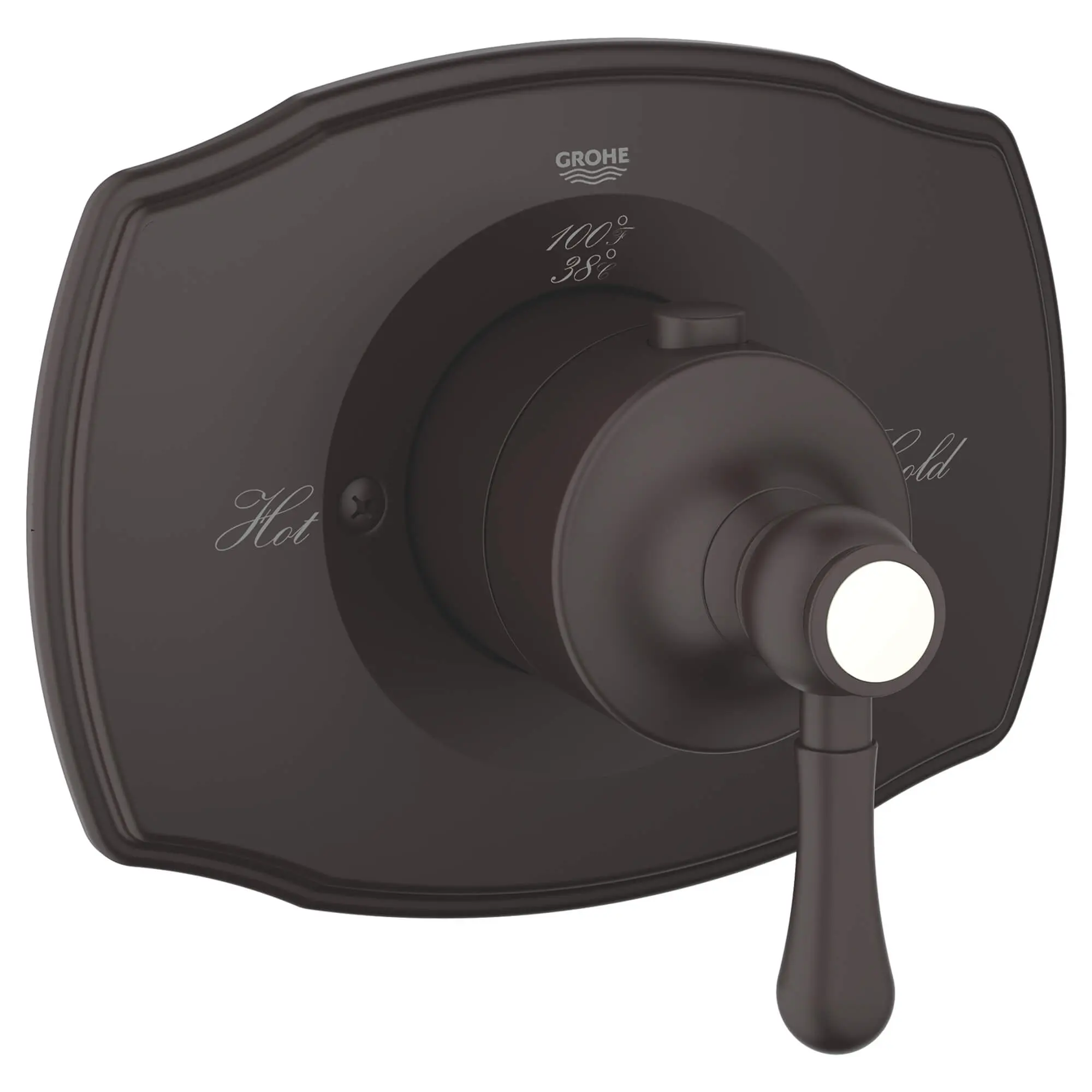 Custom Shower Thermostatic Valve Trim - Image 3