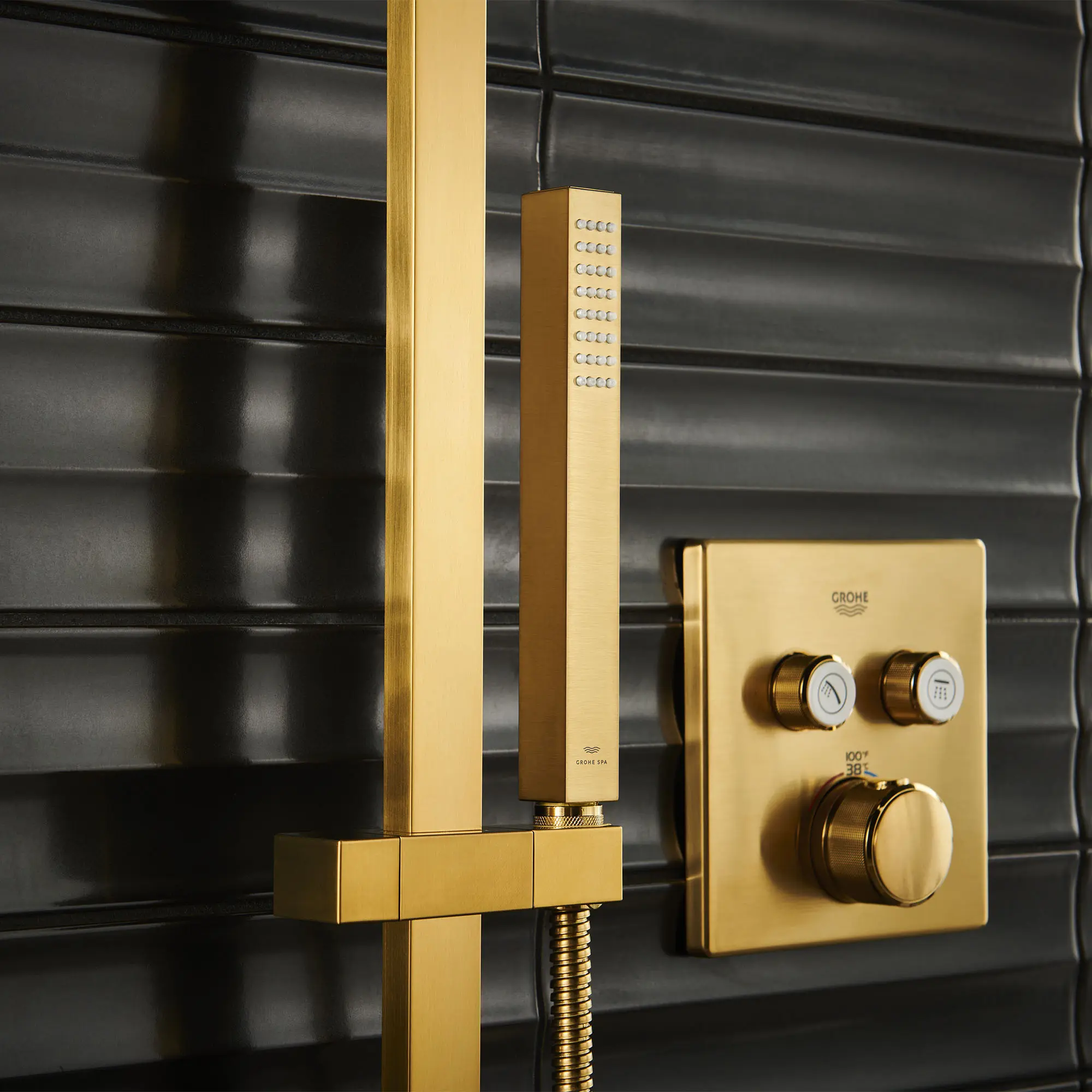 Dual Function Thermostatic Valve Trim - Image 30