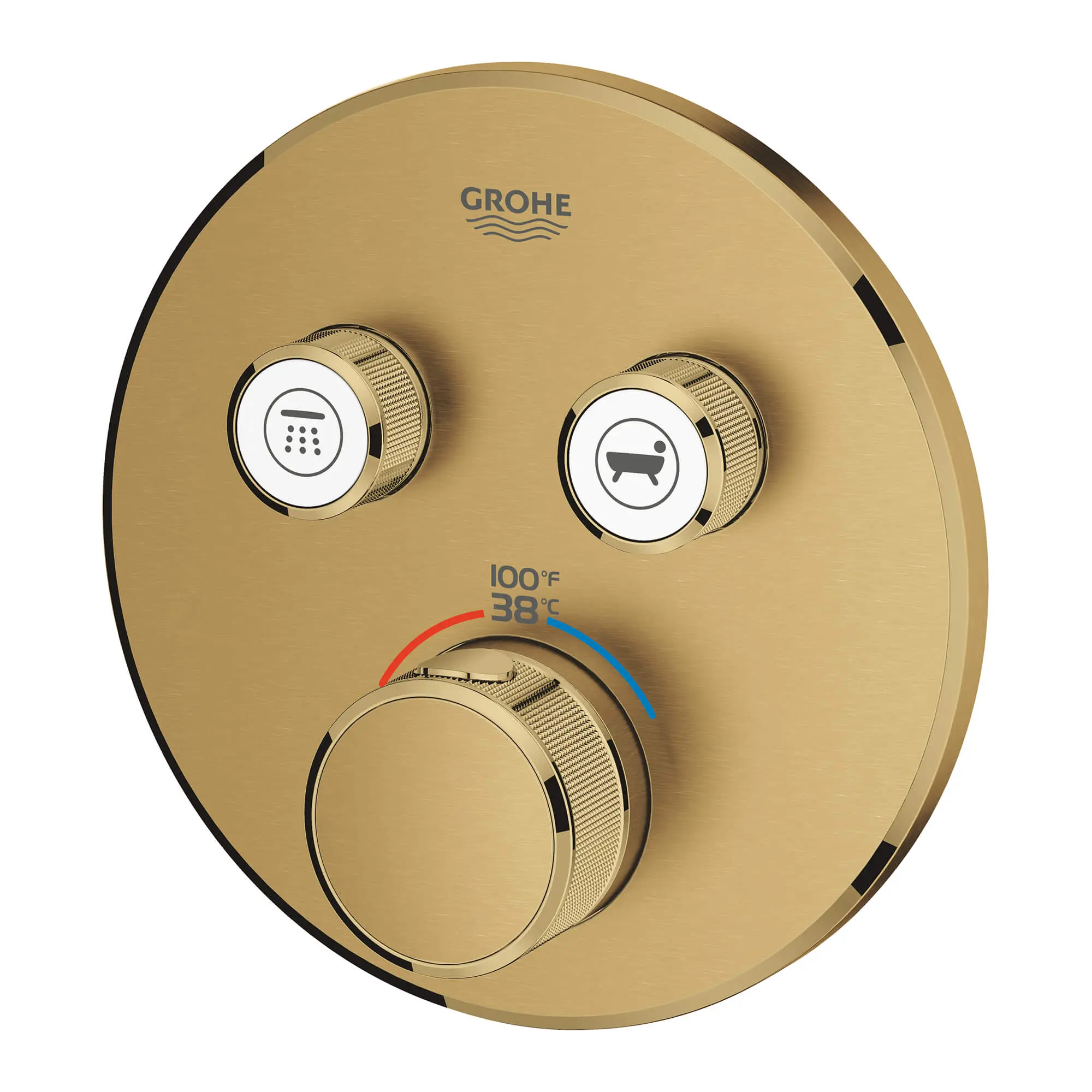 Dual Function Thermostatic Valve Trim - Image 30