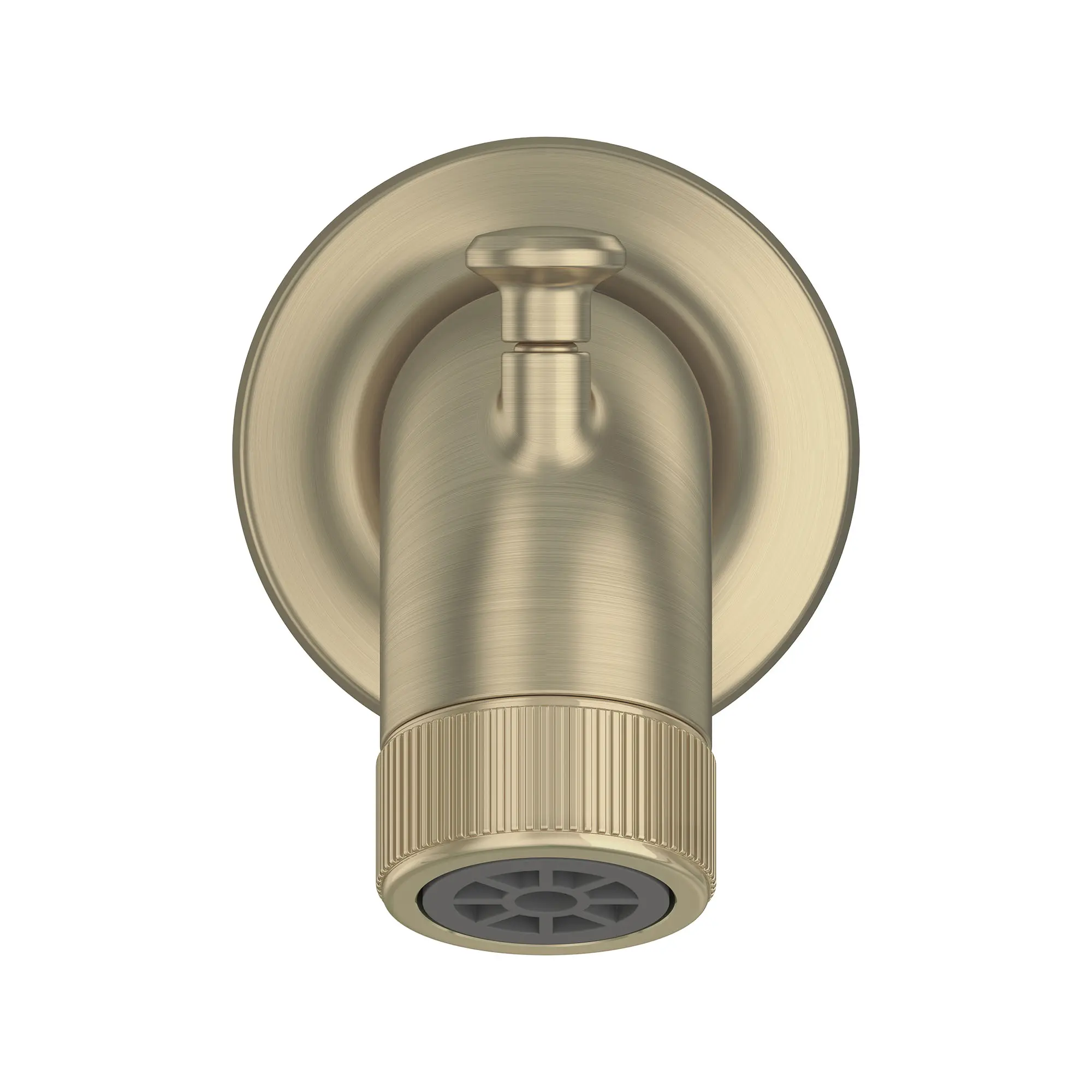 Listra Tub Spout with Diverter - Image 18