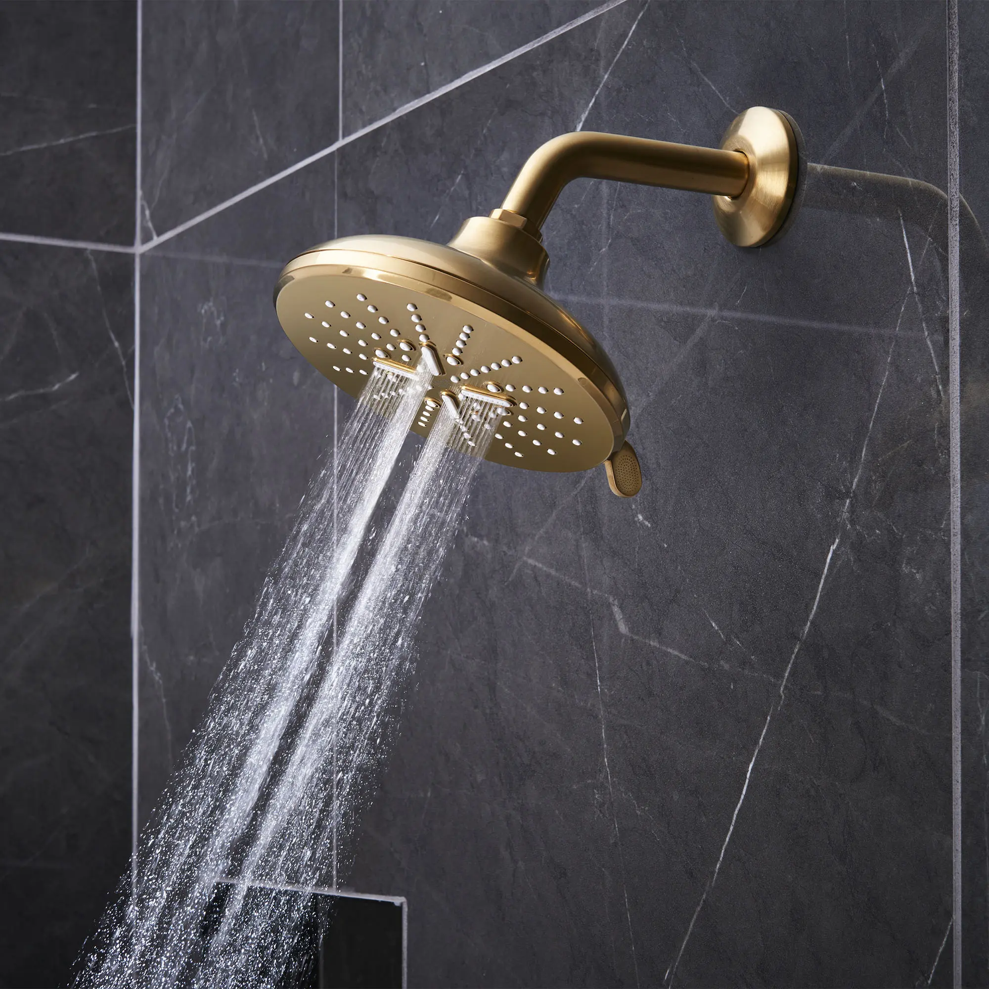 Shower Head, 6-1/2" - 3 Sprays, 1.75 GPM (6.6 L/min) - Image 31